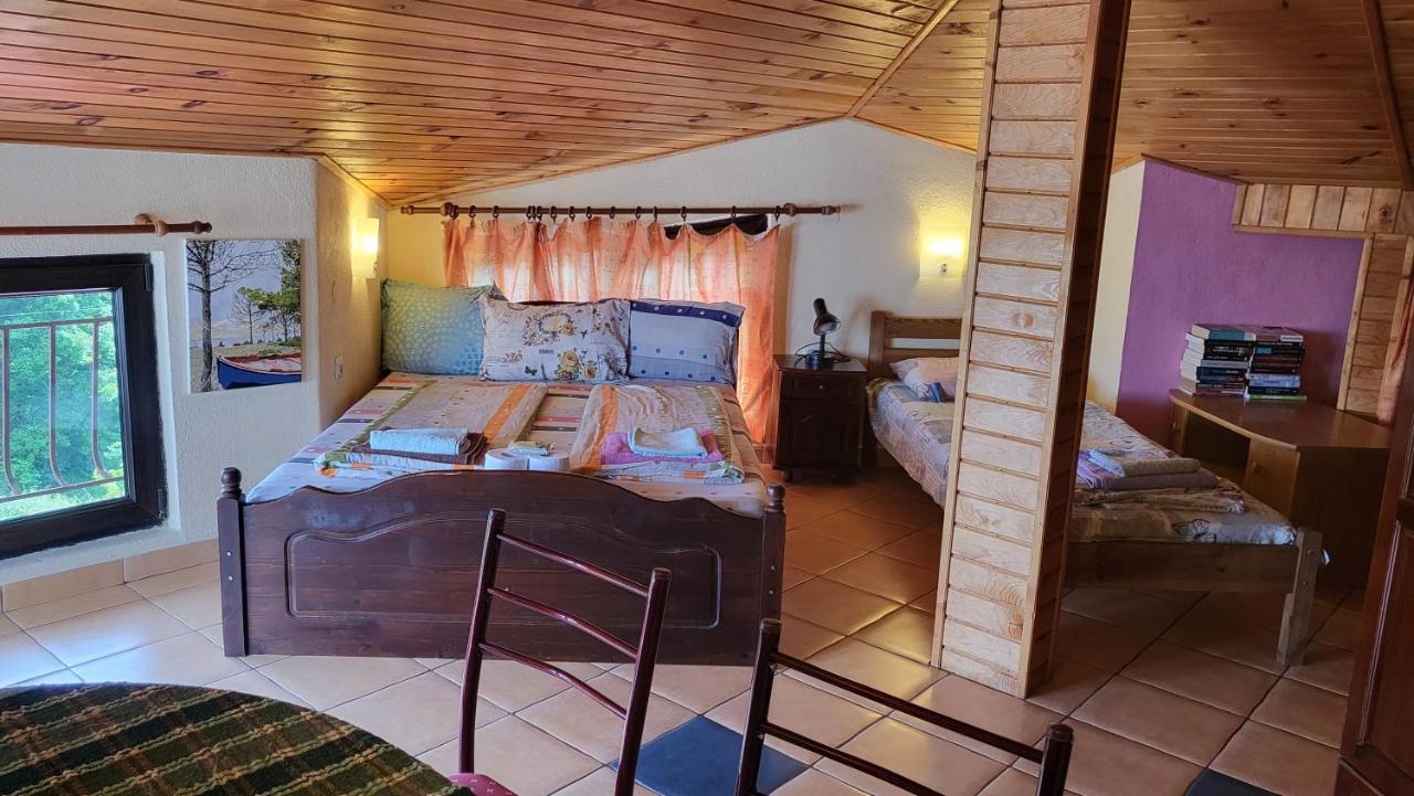 Guest House Fanny Синеморець Екстер'єр фото