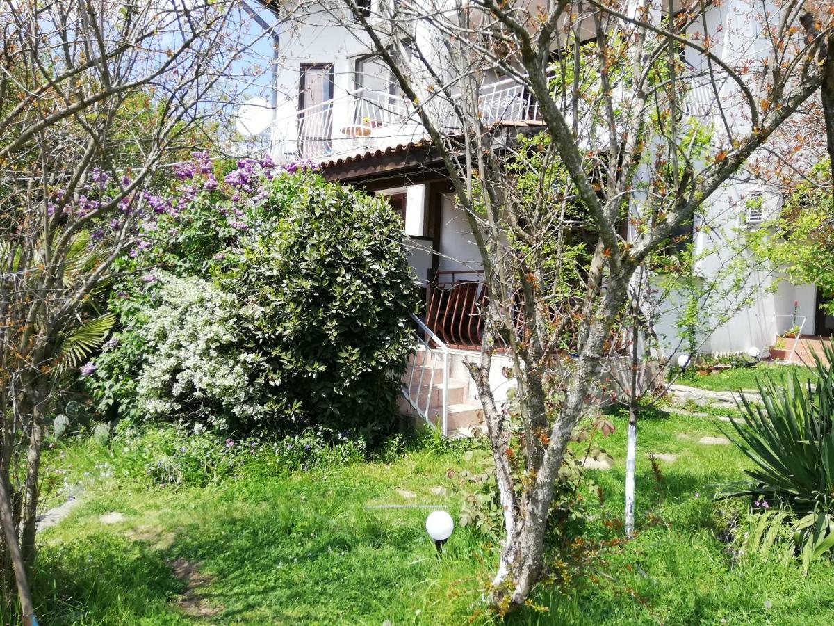 Guest House Fanny Синеморець Екстер'єр фото